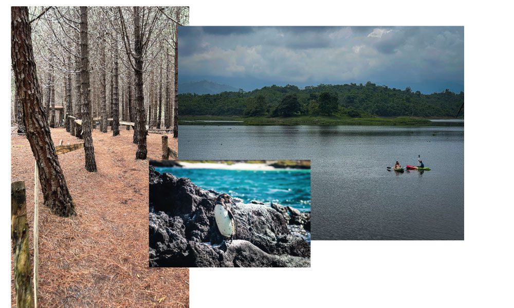 shumiral_tv_ruta_aventura_01