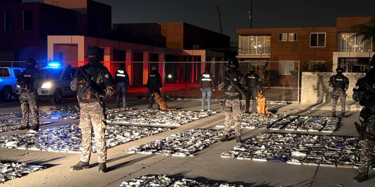 Un operativo permitió el decomiso de media tonelada de droga en un ...
